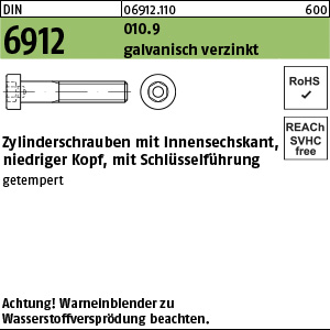 D 6912 010.9 M 12 x 25 - verzinkt