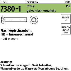 I 7380 -1 010.9 M 5 x 25 -T 25 - verzinkt