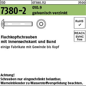 I 7380 -2 010.9 M 8 x 20 - verzinkt, getempert