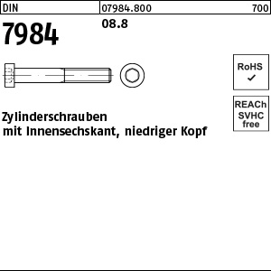 D 7984 08.8 M 6 x 40 