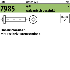 D 7985 4.8 M 4 x 8 -Z galv. verzinkt