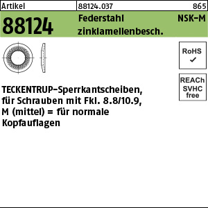 R 88124 TECKENTRUP-Sperrkantscheiben FSt M 4 x 10,