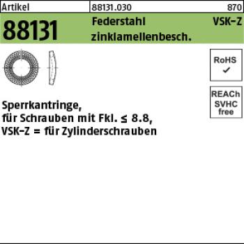 R 88131 Sperrkantringe FSt. VSKZ 4 flZn