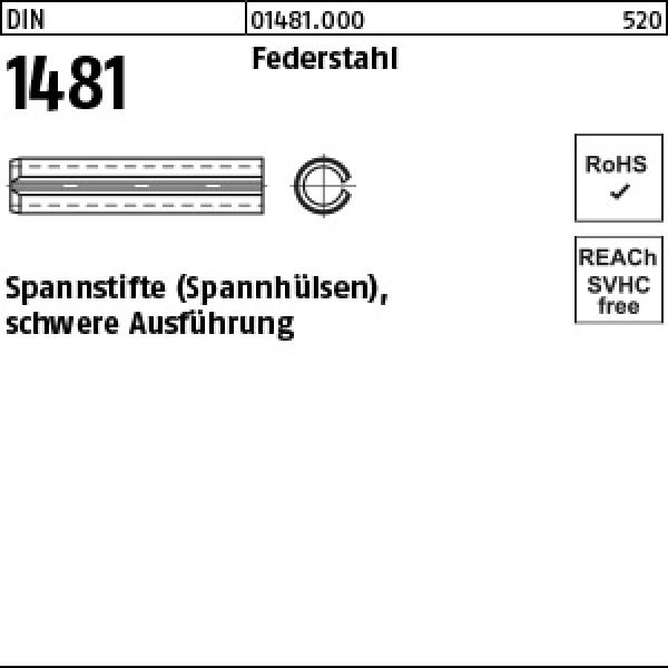 D 1481 Federstahl 10 x 60