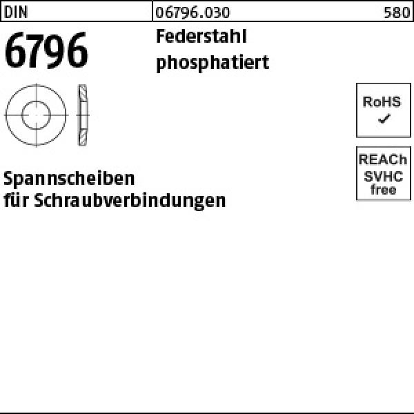 D 6796 Federstahl 3 